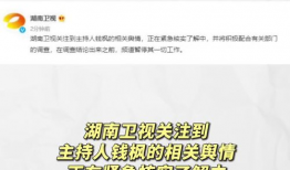 娱乐圈吃瓜暗语大全,吃瓜暗语大揭秘，带你领略明星幕后风云